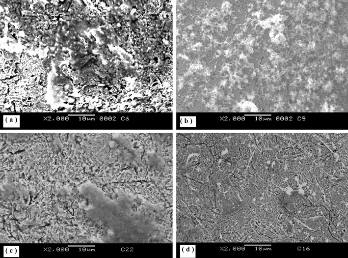 SEM images of mild steel after immersion in 0.1 M HCl for 24 h (a) in the absence of inhibitor and in the presence of 1 × 10−4 M (b) P1, (c) P2 and (d) P3.