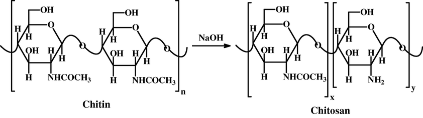 Chemical modification of Chitin into Chitosan.