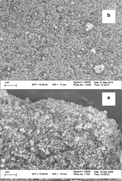 Scanning electron microscopy (SEM) micrographs of (a) nanoMCM-41 and (b) PbS/nanoMCM-41.