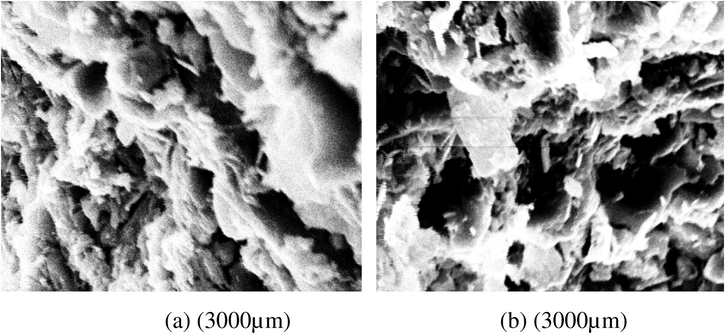 SEM images of DLS layer formed on kaolin with: (a) surface section; (b) cross-section.