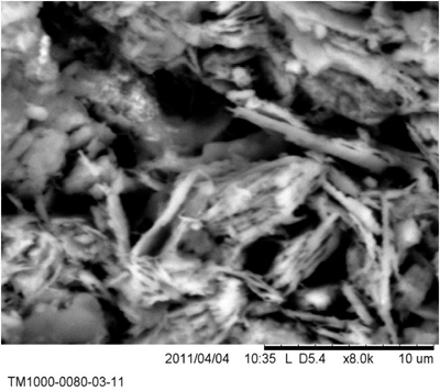 SEM images of ADLS layer surface section.