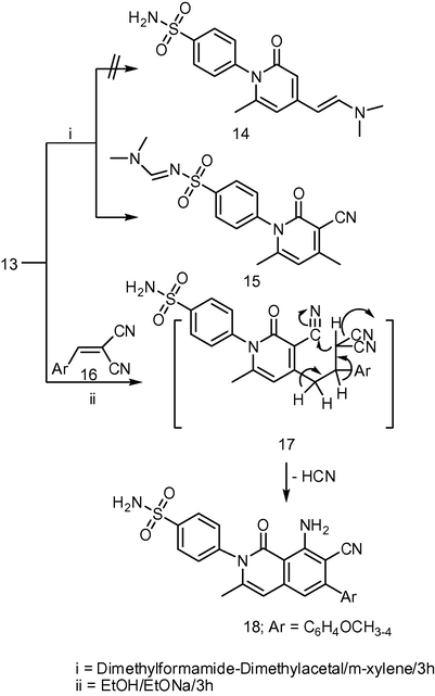 Synthesis of dimethylaminomethylene and isoquinolinone derivatives 15 and 18.