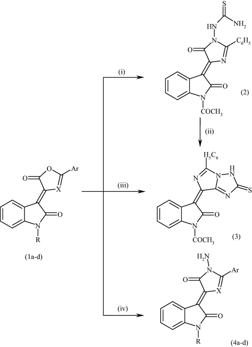 Reagents and conditions; (i) NH2NHCSNH2/EtOH, reflux; (ii) ACOH, reflux; (iii) NH2NHCSNH2/ACOH, reflux; (iv) NH2NH2H2O/pyridine/POCl3, reflux.