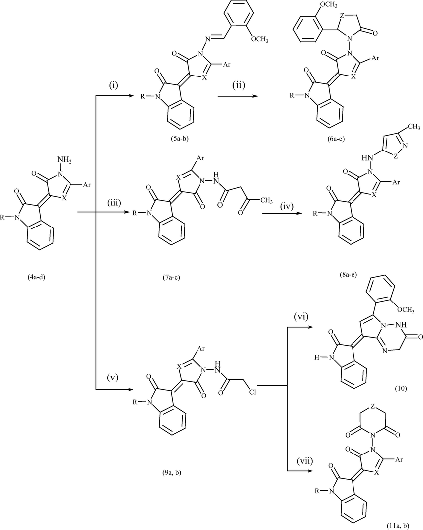 Reagents and conditions: (i) CH3OC6H4CHO/EtOH/piperidine, reflux; (ii) ZHCH2COOH, fusion; (iii) CH3COCH2COOC2H5/EtOH, reflux; (iv) NH2NH2H2O or NH2OH HCl/pyridine/POCl3; (v) ClCH2COCl/reflux; (vi) CH3COONH4/glacial ACOH.