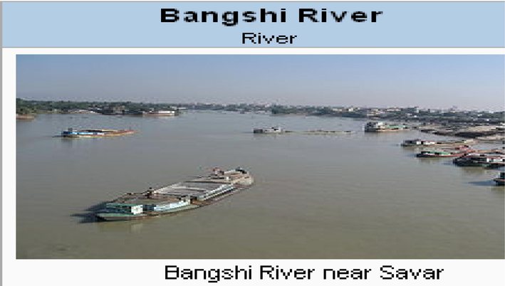 Seven types of fish samples collected from the Bangsai river of Bangladesh.