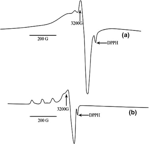 ESR spectrum of CuAB species in Cu(II)-stz(A)-gly(B) system at (a) 300 K (b) 77 K.