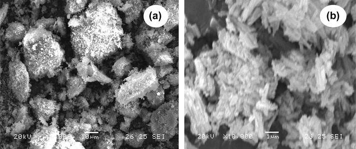 SEM photograph of CuAB in (a) Cu(II)–stz(A)-gly(B) and (b) Cu(II)–stz(A)-orn(B) systems.