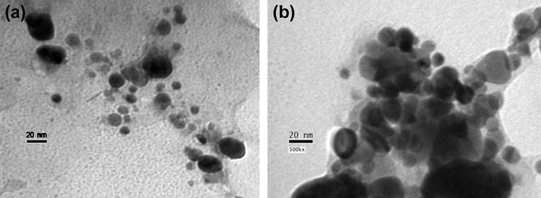 TEM micrograph of the silver nanoparticles: (a) the scale bar corresponds to 10 nm (inset: SAED pattern), and (b) the scale bar corresponds to 20 nm.