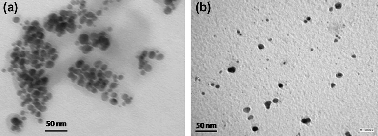 TEM micrograph of the silver nanoparticles: (a) at pH 3, the scale bar corresponds to 100 nm and (b) at pH 8, the scale bar corresponds to 50 nm.