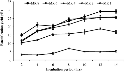 Effects of molar ratio on butyl butyrate formation using the produced lipase (30 U/mg) at different incubation times.