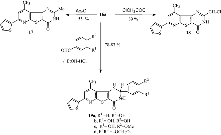 Synthesis of compounds 17–19.