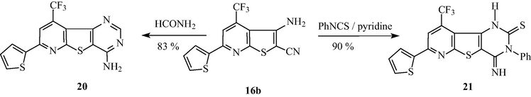 Synthesis of compounds 20 and 21.