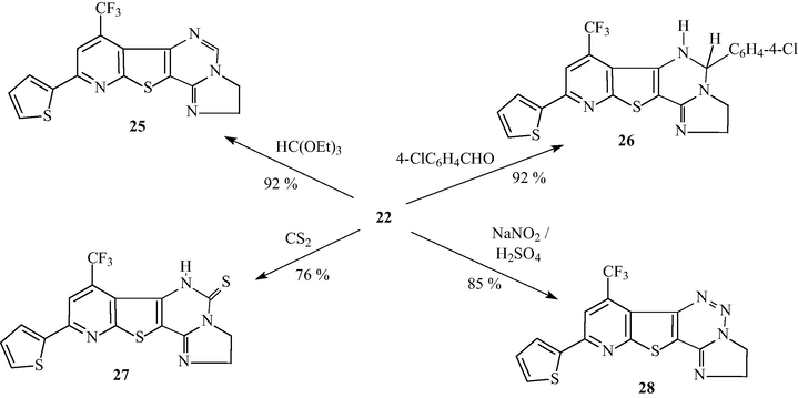 Synthesis of compounds 25–28.