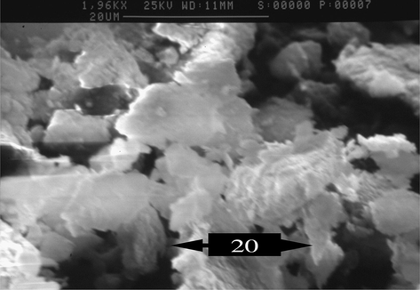 Scanned Electron Micrograph of Jebel Chakir Clay magnified 1960 times.