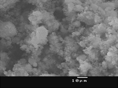 SEM image for silica from RHS.