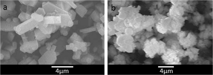 SEM images for prepared samples by two-step route crystallized at 24 h (a) and 48 h (b).