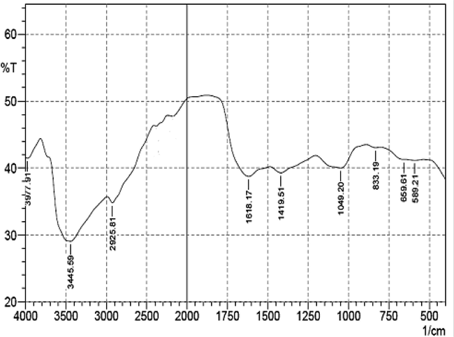 The IR spectra of PVA-SA xerogel membranes without ampicillin.
