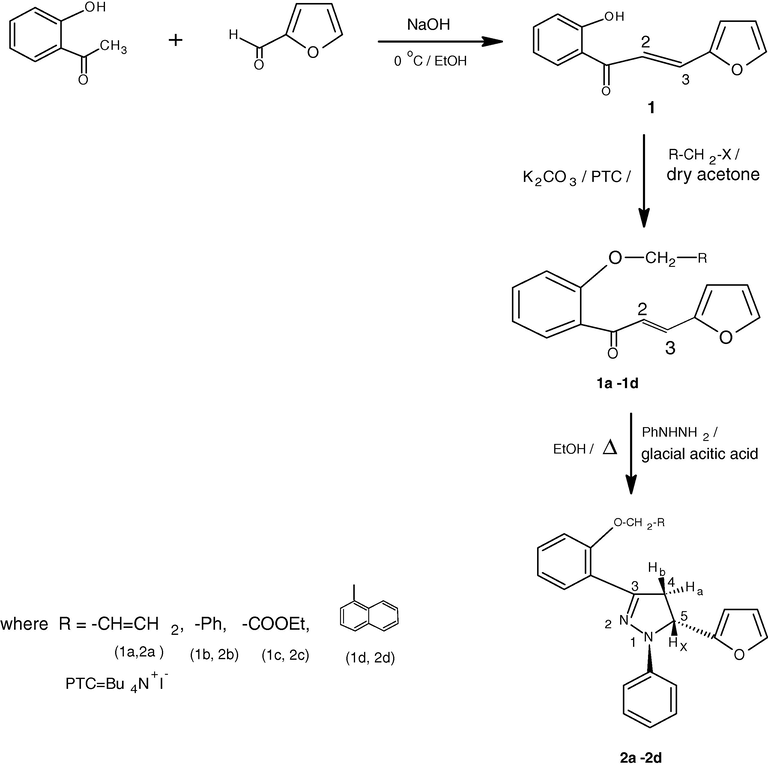 Schematic diagram indicating the synthesis of compounds 2a–2d.