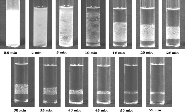 The layers in emulsion (0, 0.75, and 0.25) at different times.