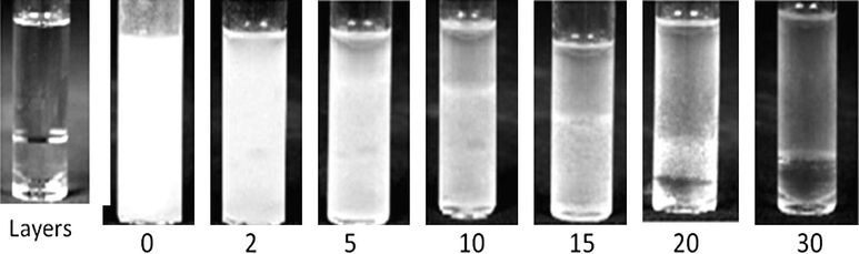 The layers in emulsion (0.1, 0.675, and 0.225) at different times.