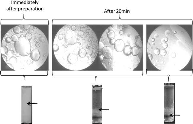Microscopy photographs of the emulsion after different times (above) and locations as marked on the test tubes beneath the photographs. Magnification 10 × 10.