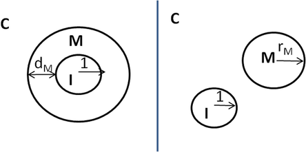 Model drops in an emulsion continuous in compound C. To the left the central drop I is surrounded by a layer of compound M, while to the right the drops exist individually.
