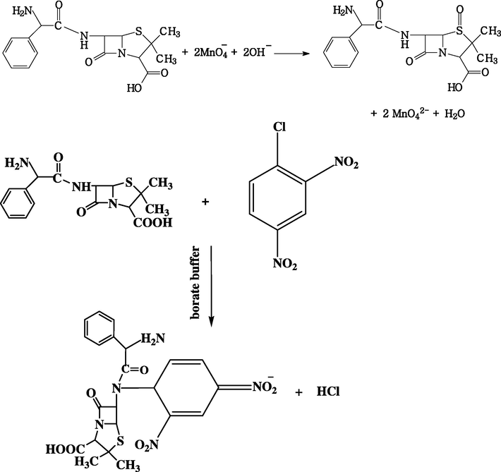 A detailed mechanistic scheme of the oxidation and reaction of AMP.