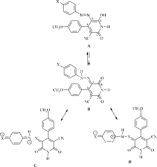 The equilibrium between azo form (A) and hydrazone form (B) of 5-arylazo-6-hydroxy-4-(4-methoxyphenyl)-3-cyano-2-pyridone dyes (X = H (1), F (2), Cl (3), Br (4), I (5), OH (6), CH3 (7), OCH3 (8), COCH3 (9), CN (10), NO2 (11)). Resonance effect of electron-accepting (structure C) and electron-donating (structure D) substituents of the arylazo component on the hydrazone tautomer.