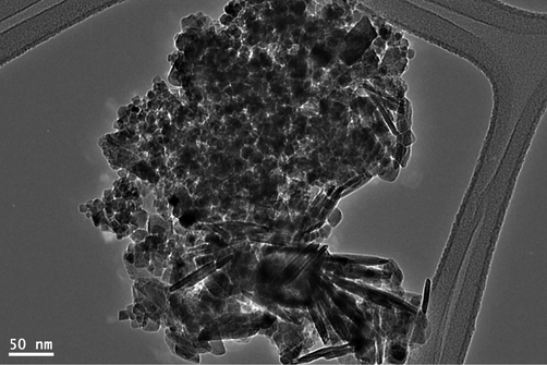 TEM image of the as-synthesized magnetite.