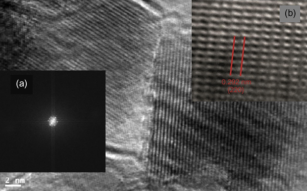 HRTEM image of a single magnetite cube; (a) SAED pattern and (b) Lattice fringes.