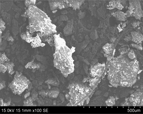 SEM image of CVM.