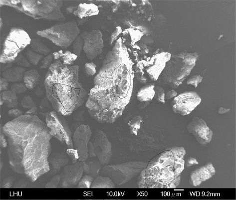 SEM image of MVM.