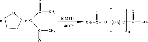 The reactive diagram of polymerization of THF with the presence of MmtH+.