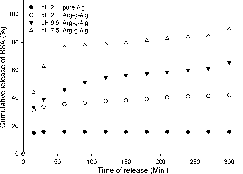 BSA release profile from pure alginate and (Arg-g-Alg) hydrogel beads at different pH values at 37 C for simulating gastric media; (grafting conditions: 3% l-Arg., pH 2, at 60 °C for 75 min.), (crosslinking conditions: 3% of CaCl2, 10 min., at RT).