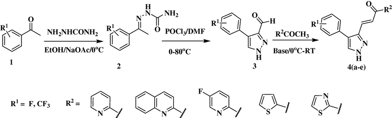 Synthetic route for new pyrazole chalcone derivatives 4(a–c).