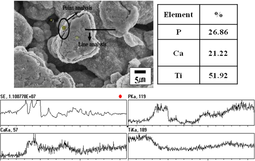 Elemental point & line analysis of the Ti–40% HA after leaching by 40% H3PO4 + 60%H2O for 24 h.