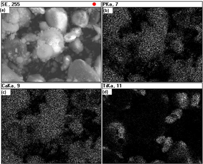 Elemental analysis of the Ti–40 wt% HA powder using X-ray mapping; (a) SEM image, (b) P composition, (c) Ca composition and (d) Ti composition.