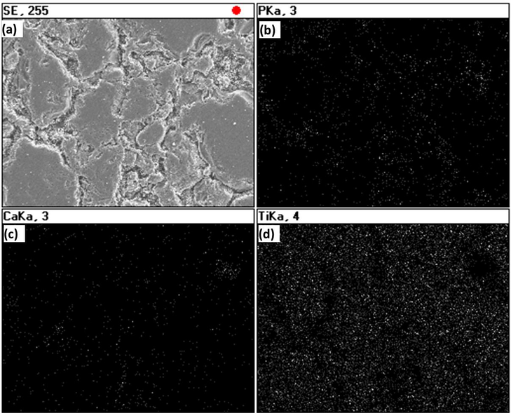 Elemental analysis of the Ti–40 wt% HA powder using X-ray mapping after sintering and leaching; (a) SEM image, (b) P composition, (c) Ca composition and (d) Ti composition.