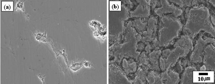 SEM micrographs of the Ti–HA composite after PCAS for 5 min, at 1000 °C; (a) Ti–5% HA and (b) Ti–40% HA.