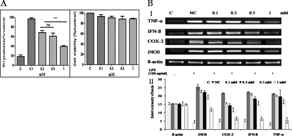 The anti-inflammatory effects of compound 4. (A) The effect of compound 4 on LPS-induced NO production in RAW 264.7 cells. Data are mean ± standard deviation of three independent experiments. ∗∗∗P < 0.001. (B) The effect of compound 4 on LPS-induced ß-actin, iNOS, COX-2, IFN-ß and TNF-α expression in RAW 264.7 cells. I: Gel electrophoresis of amplified product of ß-actin, iNOS, COX-2, IFN-ß and TNF-α; II: Quantitative data of panel A; C: control; NC: negative control.