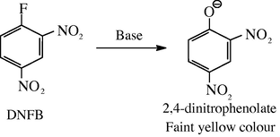 Basic hydrolysis of DNFB.