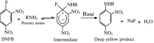 Probable reaction mechanism of primary amines with DNFB reagent.