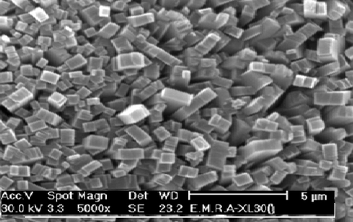 SEM of PDAF film deposited on the Platinum surface. The films were synthesized electrochemically in acetonitrile containing 0.1 M LiClO4 at a constant applied potential of 0.8 V.