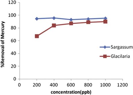 Biosorption of 100 ml Hg2+ solution at different metal concentrations, 200 rpm shaking rate by S. glaucescens during 90 min and G. corticata during 30 min.