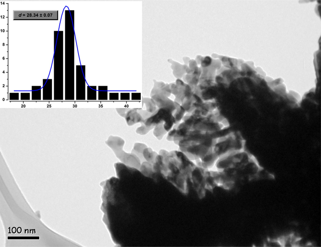 Transmission electron microscopy (TEM) image of CuMn2 mixed oxide pre-calcined at 300 °C. Particle size distribution determined from the TEM image is shown in graph (inset figure).