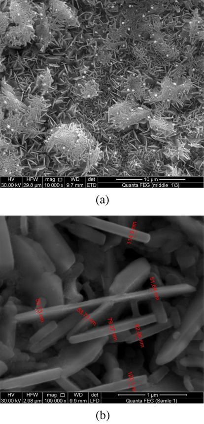 SEM images of the ZnO nanostructure (a) partial gas pressure ratio of hydrogen and argon is (5:2), (b) partial gas pressure ratio of hydrogen and argon is (3:1).