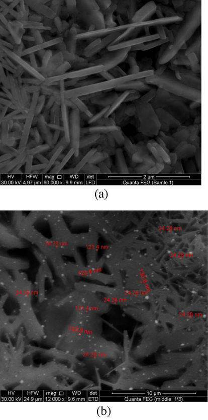 SEM images of ZnO nanostructure (a) partial gas pressure ratio of hydrogen and argon (3:1), (b) partial gas pressure ratio of hydrogen and argon is (5:2).
