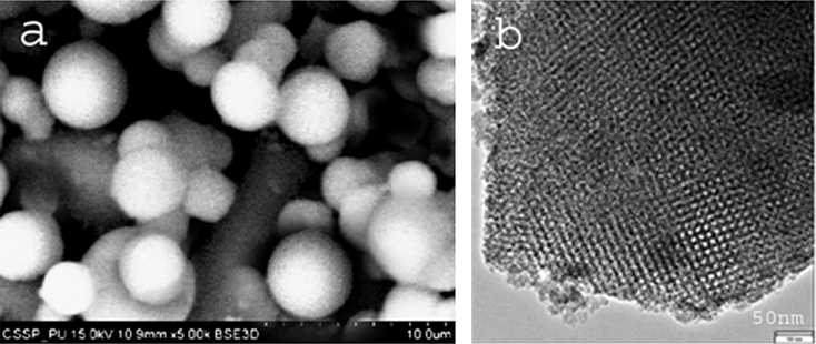 (a) SEM image of Ni-SBA-16. (b) HRTEM image of Ni-SBA-16 sample.