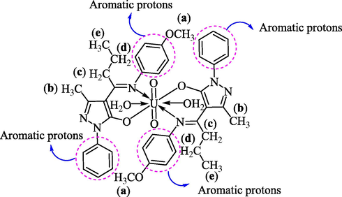 Indexing of various protons in [UO2 (bumphp-pa)2(H2O)2].