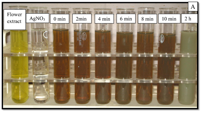Color change in the reaction mixture within 10 min.